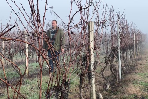 Bastien Mercier, 34 ans, est vigneron à Camiran en Gironde. Son exploitation héritée de sa famille, est en redressement judiciaire dans un contexte de chute de la consommation de vins de Bordeaux en 2022.