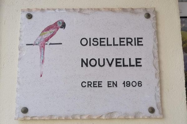 Suite à une obligation de mise en conformité, cette oisellerie du centre-ville de Nice, s'apprête à fermer ses portes après 116 ans d'existence.