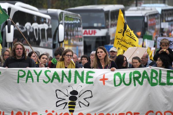 Entre 650 et un millier de manifestants battaient le pavé mardi à Strasbourg pour réclamer "une autre" politique agricole commune européenne (PAC)