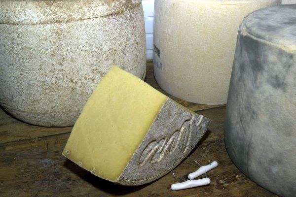 Sur la plateforme achetezenauvergne.fr, vous pouvez acheter en ligne des fromages d'Auvergne comme du Salers.