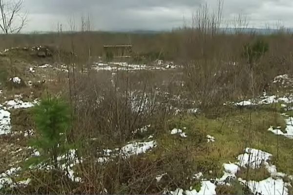 Le site photovoltaïque devrait voir le jour sur cette parcelle de terrain