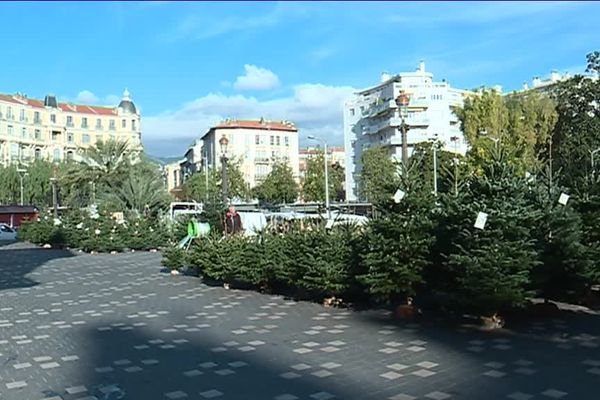 La vente de sapins sur le parvis de la gare du sud