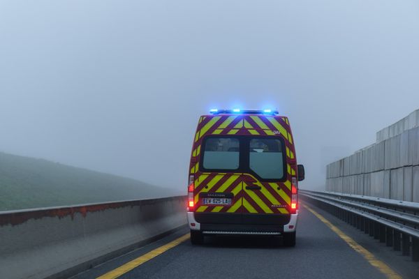 Un carambolage a eu lieu sur l'A28, vendredi 19 janvier 2024, au niveau de Vieux-Manoir (Seine-Maritime).