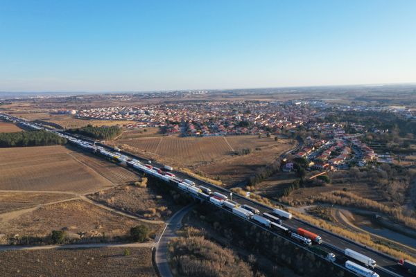 Une manifestation d'agriculteurs espagnols, le 7 janvier 2024: des camions stationnent sur le bord de l'autoroute à la frontière franco-espagnole.