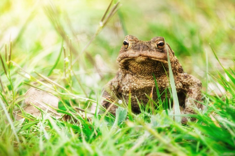 Weather Forecast for Wednesday June 21: Orange Vigilance in Dordogne, Lot-et-Garonne, Charente, Corrèze, Creuse, and Haute-Vienne