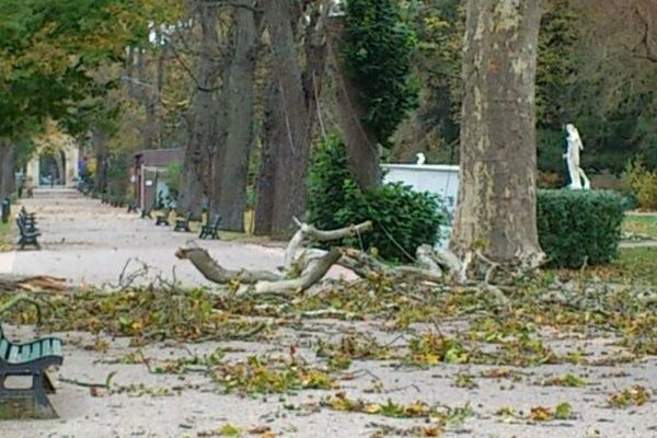 Quelques dégâts dans le Jardin des Plantes à Toulouse