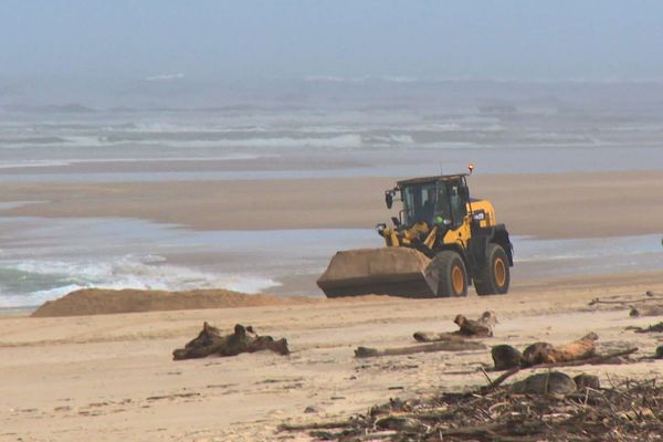 À Seignosse, la plage du Penon a été fortement touchée par les tempêtes hivernales. Des travaux sont entrepris pour la rendre de nouveau praticable.