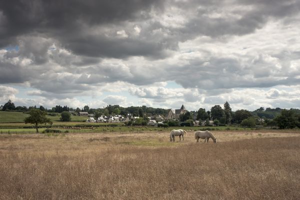 Il manque plus de 50% de la pluviométrie normale sur les trois premiers mois de l'année 2022 en Maine-et-Loire