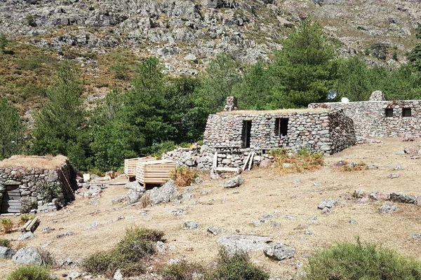 Au refuge de Puscaghja, en Haute-Corse, quatre jeunes étudiants construisent des bacs pour trier les déchets.