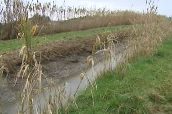 C'est dans une roubine que le corps de la jeune femme a été retrouvé samedi 8 février à la sortie de Beaucaire, dans le Gard