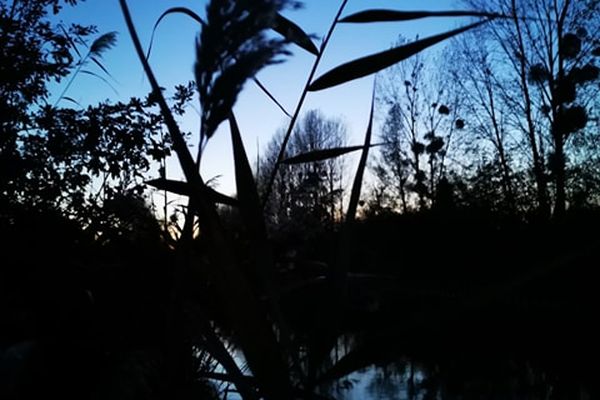 Le ciel est bleu dans une ambiance printanière