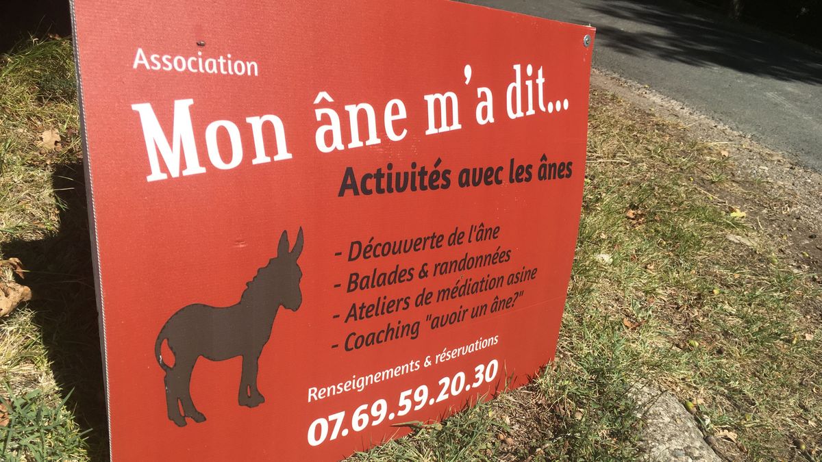 La Force Une Association Pour Apprendre A Connaitre Les Anes