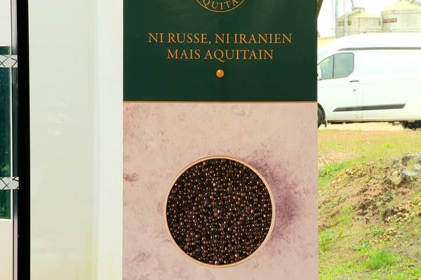 La ferme l’Esturgeonnière sur le bassin d’Arcachon produit environ 3.5 tonnes chaque année.