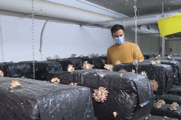 Théo Champagnat est responsable de la Cave agricole de Floirac