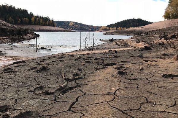 Sécheresse en Lorraine  : l'état de catastrophe naturelle reconnu pour 37 communes pour l'année 2018