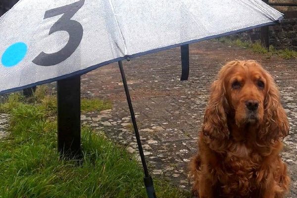 Simone, sous la pluie de Calais.