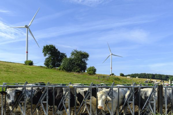 De nombreux éleveurs se diversifient dans la production d'énergie : solaire, éolienne, ou par méthanisation.