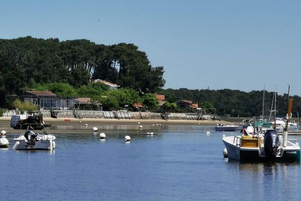 Les bateaux de plaisance professionnelles et les bateaux taxis reprennent du service.