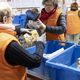 1100 points de collecte sont prévus en Île-de-France pour la collecte de la Banque alimentaire ce samedi 23 et dimanche 24 novembre.