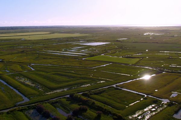 Vue aérienne des marais du littoral charentais