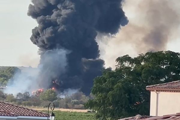 Paulhan (Hérault) - un feu de végétation s'est propagé vers l'entreprise Irrifrance où des plastiques sont stockés - 11 septembre 2023.