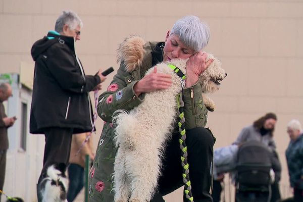 Posséder un animal de compagnie, c’est recevoir beaucoup d’amour, mais c’est aussi un budget conséquent