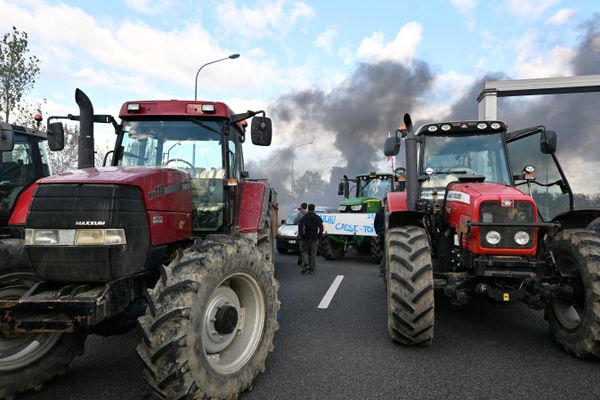 Les agriculteurs sont mobilisés aux quatre coins de la France pour demander au gouvernement de meilleures conditions de travail.