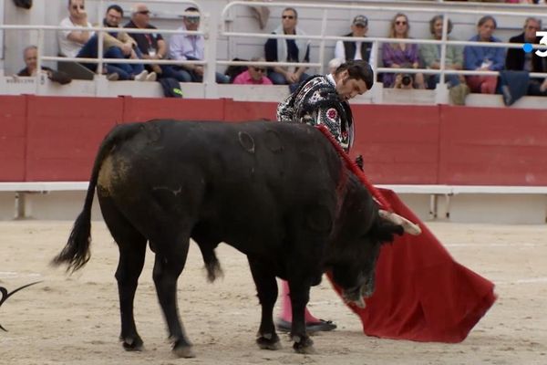 Morante de la Puebla. Arles, 20 avril 2019.