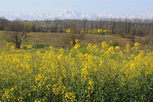 Paysage du Gers