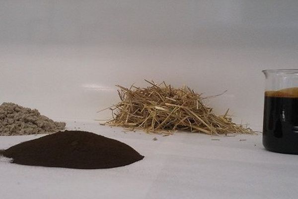 Les 3 produits issus de la séparation de la paille : la cellulose (poudre grise) le "jus sucré ", la lignine (poudre marron) 