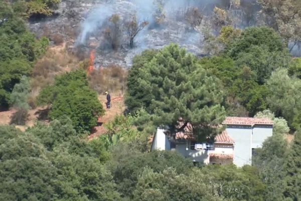 Après plusieurs heures à combattre les flammes, les pompiers ont réussi à éteindre l'incendie qui a ravagé 12 hectares de terrain