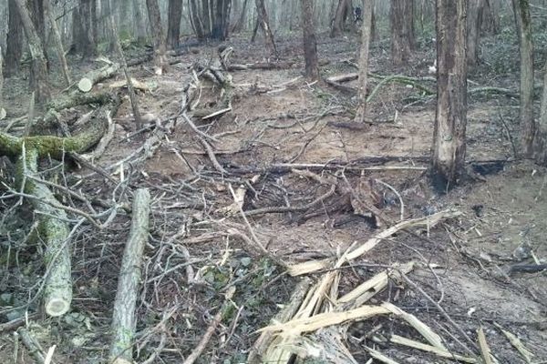 Sur le site du crash, sur une colline boisée de Saint-Etienne-de-Saint-Geoirs (Isère)