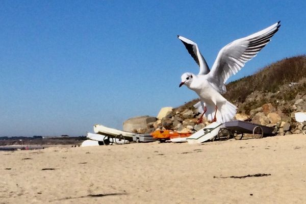 Atterrisage sur une plage du Morbihan