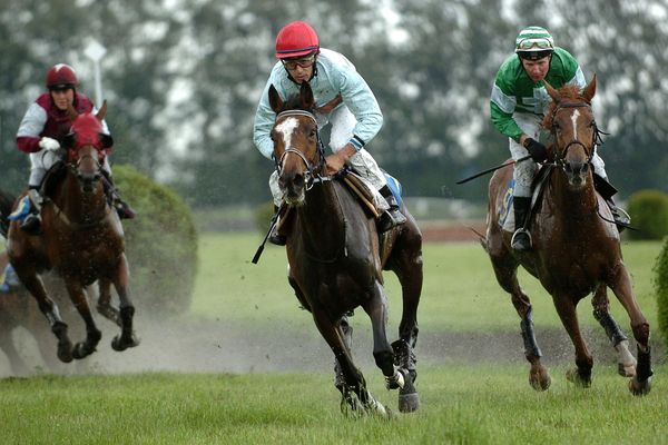 Course hippique à Hoerdt (Bas-Rhin) le 21 mai 2009. Image d'illustration.