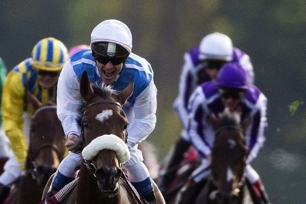 Olivier Peslier et Solemia décrochent le prix Qatar/Arc de triomphe