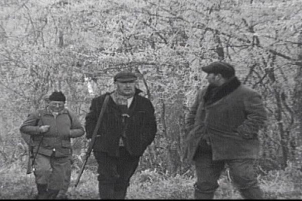 Journée de chasse en forêt de Chaux, dans le Jura, en 1971.