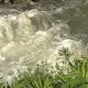 L'eau douce, l'une des meilleurs armes contre la salinisation des sols en petite Camargue gardoise.