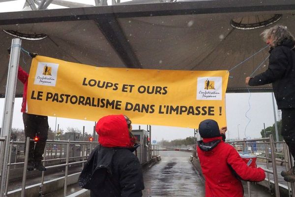 Des éleveurs avaient bloqué un péage dans l'Ariège, pour manifester contre l'invasion des loups. 