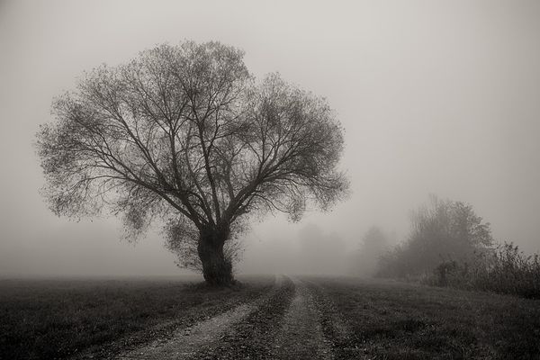 Nuages nombreux et brouillards localement givrants