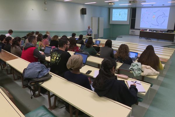 En 2ème année de pharmacie, les étudiants sont moins nombreux que les places disponibles.