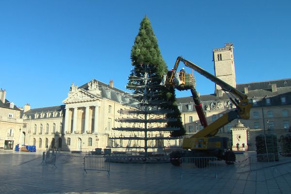 Le sapin de noël va trôner place de la Libération à Dijon