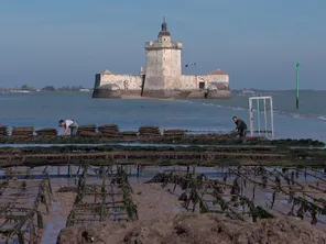 A quelques centaines de mètres de la côte, le Fort Louvois se dresse entre Bourcefranc-le-Chapus et l'île d'Oléron.