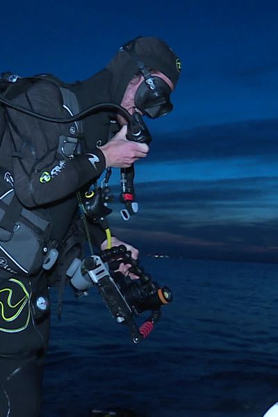 Des bénévoles plongent de nuit pour photographier les espèces des fonds de la Méditerranée au large du Grau-du-Roi et à La Grande-Motte.