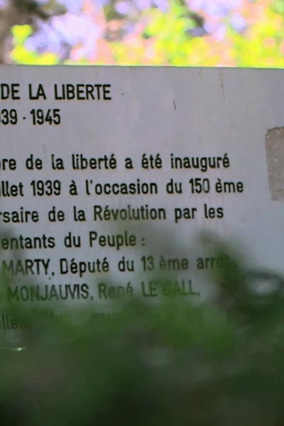 Vert Paname- Le Cèdre Bleu de l'Atlas du Parc de Choisy