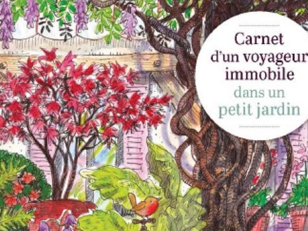 Oui On Peut S Evader En Restant Dans Son Jardin L Auteur Bourguignon Fred Bernard En A Fait Un Livre