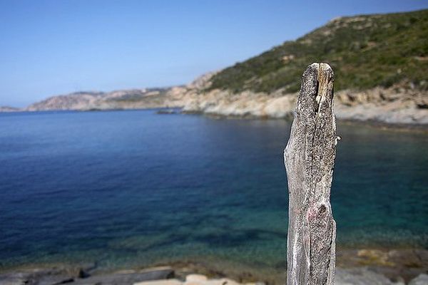 Le pôle mer Méditerranée fête ses dix ans. 