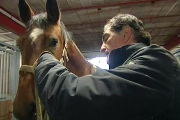 Jean Paris, un éleveur, accuse la vaccination d'avoir rendu malades ses chevaux.