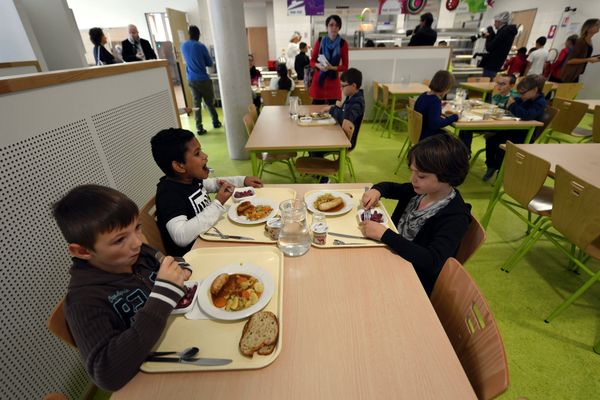 Les agents vacataires ont pour mission d'accueillir les enfants à la cantine, de veiller à leur sécurité et de leur proposer des animations à la récré.