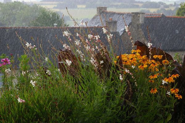 Bretagne sous la pluie