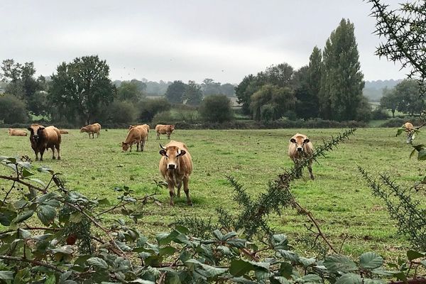 Le parc naturel régional de la Gâtine Poitevine aura pour mission de protéger les paysages du nord des Deux-Sèvres.